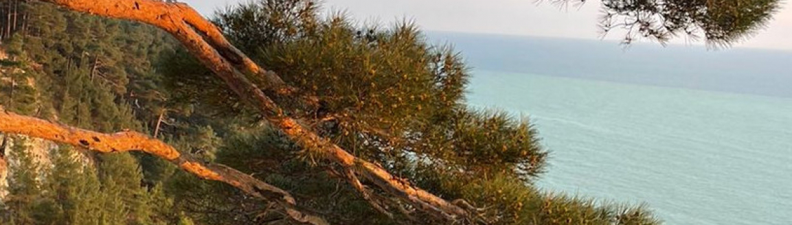 АРХИВНЫЕ КНИГИ №2