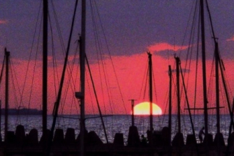 Моя детектива