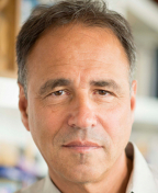 автор Энтони Горовиц