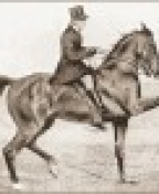 автор Филлис Джеймс