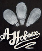 автор Анастасия Новых