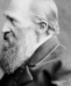 автор Юзеф Игнаций Крашевский