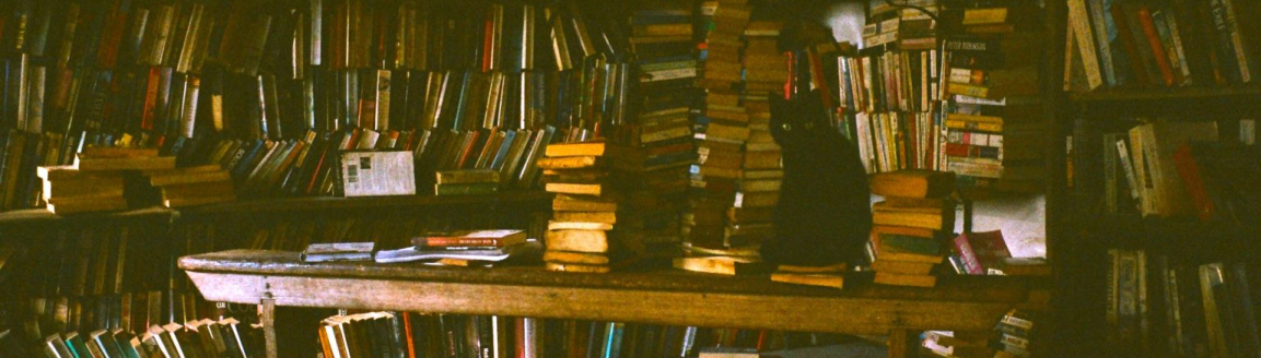10 очень разных романов о книжных магазинах №2